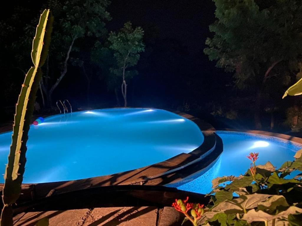 Vila Amaltas Udajpur Exteriér fotografie
